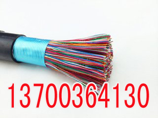 沈陽(yáng)RS485通信電纜4x2x0.75與河北通訊光纜 工業(yè)互聯(lián)的雙重脈絡(luò)